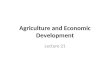 Agriculture and Economic Development Lecture 21. TOPICS » Role of Agriculture Sector in Economic Development of a Developing CountryRole of Agriculture