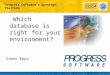 1 Progress Software’s OpenEdge Platform Which database is right for your environment? Simon Epps