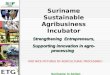  Suriname in Action Suriname Sustainable Agribusiness Incubator Strengthening Entrepreneurs, Supporting innovation in agro- processing ADD NICE PICTURES