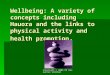 Copyright © 2006 PE Resources Limited Wellbeing: A variety of concepts including Hauora and the links to physical activity and health promotion