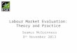 Labour Market Evaluation: Theory and Practice Seamus McGuinness 8 th November 2013