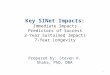 Key SINet Impacts: Immediate Impacts Predictors of Success 2-Year Sustained Impacts 7-Year Longevity Prepared by: Steven H. Shaha, PhD, DBA 1