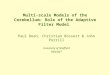 Multi-scale Models of the Cerebellum: Role of the Adaptive Filter Model Paul Dean, Christian Rössert & John Porrill University of Sheffield REALNET