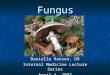 Fungus Danielle Hansen, DO Internal Medicine Lecture Series April 4, 2007