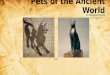 Pets of the Ancient World by Brendan McLeod  hello