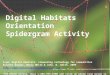 Digital Habitats Orientation Spidergram Activity From: Digital Habitats: stewarding technology for communities Etienne Wenger, Nancy White & John. D. Smith,