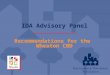 IDA Advisory Panel Recommendations for the Wheaton CBD