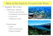 Most of the Earth Is Covered with Water Aquatic life zones – Saltwater: marine Oceans and estuaries Coastlands and shorelines Coral reefs Mangrove forests