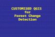 CUSTOMISED QGIS for Forest Change Detection. WHAT QGIS? Open source GIS softwareOpen source GIS software (GIS) application that provides:(GIS) application