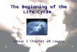 The Beginning of the Life Cycle Group 3 Chapter 20 Lesson 1
