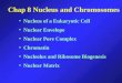 Chap 8 Nucleus and Chromosomes Nucleus of a Eukaryotic Cell Nuclear Envelope Nuclear Pore Complex Chromatin Nucleolus and Ribosome Biogenesis Nuclear Matrix