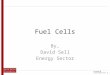 1 Fuel Cells By, David Sell Energy Sector. 2 Industry Definition –Fuel Cells Hydrogenics Corporation (NASDAQ: HYGS) Quantum Fuel Systems (NASDAQ: QTWW)