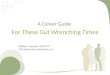 A Career Guide For These Gut Wrenching Times William F. Beedle, CPPM CF G4S Government Solutions, Inc