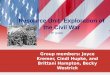 Group members: Joyce Kremer, Cindi Hupke, and Brittani Hampton, Becky Westrick Resource Unit: Exploration of the Civil War 8 th grade