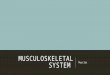 MUSCULOSKELETAL SYSTEM Muscles. TYPES Skeletal – forms the muscles attached to the skeleton - move the limbs and other body parts - long striated -