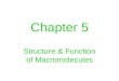 Chapter 5 Structure & Function of Macromolecules