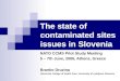 The state of contaminated sites issues in Slovenia NATO CCMS Pilot Study Meeting 5 – 7th June, 2006, Athens, Greece Branko Druzina University College of