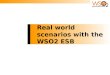 Real world scenarios with the WSO2 ESB. Three real world scenarios in some detail 1. XML transformation and message augmentation 2. Financial services