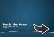 Touch the Ocean Cansu Erdinç VA 401 Proposal. Brief Definition It is an interactive educational installation which introduces marine species to children