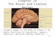14-1 Chapter 14 The Brain and Cranial Nerves Largest organ in the body at almost 3 lb. Brain functions in sensations, memory, emotions, decision making,