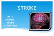 STROKE BY : Shanak Nouha cleudiane.  Definition of stroke  Types  Symptoms  Fast test  Causes  Warning signs  Prevention  Treatment  Summary