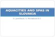 D. Jančíková, V. Michalová III.C AQUACITIES AND SPAS IN SLOVAKIA