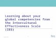 1 Copyright © 2008 Learning about your global competencies from the Intercultural Effectiveness Scale (IES)