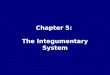 Chapter 5: The Integumentary System. The structures and functions of the integumentary system