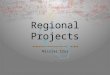 Nicolas Cruz Regional Projects. Why Do Regional Projects? “Most Outstanding Chapter” Award Must complete 2 regional projects Cannot complete 2 in category