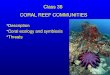 DescriptionDescription Coral ecology and symbiosisCoral ecology and symbiosis ThreatsThreats Class 38 CORAL REEF COMMUNITIES