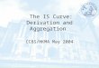 The IS Curve: Derivation and Aggregation CCBS/HKMA May 2004