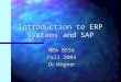 Introduction to ERP Systems and SAP MBA 8556 Fall 2004 Dr. Wagner
