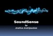 SoundSense by Andrius Andrijauskas. Introduction  Today’s mobile phones come with various embedded sensors such as GPS, WiFi, compass, etc.  Arguably,