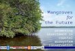Mangroves for the Future promoting investment in coastal ecosystem conservation