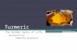 Turmeric The Golden Spice of Life presented by Samantha Arsenault