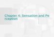 Chapter 4: Sensation and Perception. Sensation and Perception: The Distinction Sensation: stimulation of sense organs: for example absorbing energy from