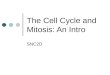 The Cell Cycle and Mitosis: An Intro SNC2D. The Cell Cycle Every hour, approximately 1 billion of your cells die – but approximately 1 billion cells are