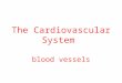 The Cardiovascular System blood vessels. Blood Circulation Blood is carried in a closed system of vessels that begins and ends at the heart