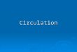 Circulation. Primary Principle of Circulation  The primary fluid flow principle derives from Newton’s first and second laws of motion: A fluid does not