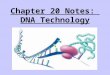 Chapter 20 Notes: DNA Technology. Understanding & Manipulating Genomes 1995: sequencing of the first complete genome (bacteria) 2003: sequencing of the