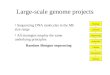 Large-scale genome projects Libraries Sequencing Release Assembly Annotation Closure Strategy Sequencing DNA molecules in the Mb size range All strategies
