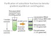 Purification of subcellular fractions by density- gradient equilibrium centrifugation