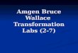 Amgen Bruce Wallace Transformation Labs (2- 7). Timeline Thursday—Lecture Thursday—Lecture Tuesday—Finish Lecture, Quiz, lab 2 Tuesday—Finish Lecture,