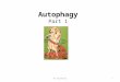 Autophagy Part 1 Dr Aliwaini1. Introduction Types of autophagy Cellular and Molecular mechanisma Signaling pathways Estimation of Autophagic Activity