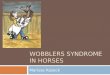 WOBBLERS SYNDROME IN HORSES Marissa Kazeck. What is Wobblers Syndrome?  Wobblers Syndrome is a neurological condition in younger horses that results