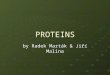 PROTEINS by Radek Marták & Jiří Malina. Main characteristics Word protein = form Greek Protas (Meaning of primary importance) Protein is a complex, high-molecular