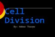 Cell Division By: Amber Tharpe. Activation  Humans make 2 trillion new cells per day