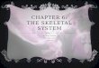 CHAPTER 6: THE SKELETAL SYSTEM By: Ashley Ambroise Ashley Hernandez Laura Alzate