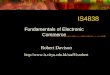 IS4838 Fundamentals of Electronic Commerce Robert Davison 