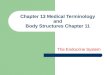 Chapter 13 Medical Terminology and Body Structures Chapter 11 The Endocrine System